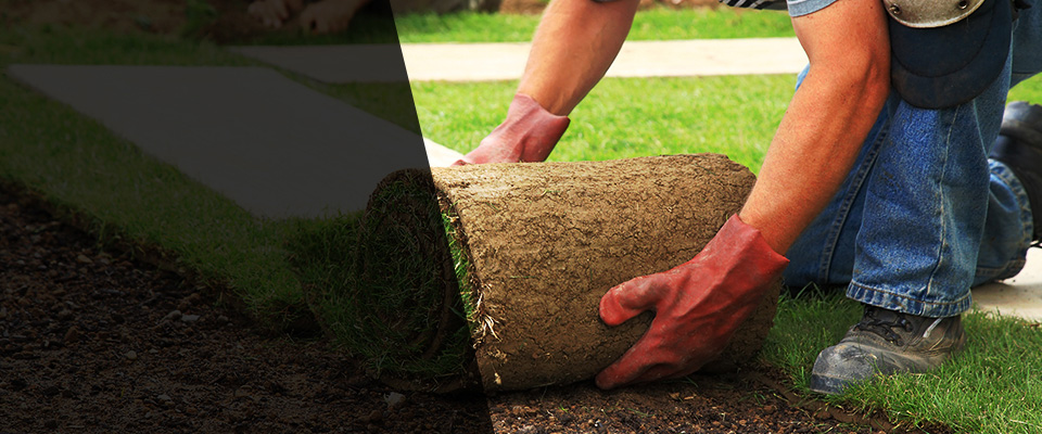 Hull Landscapers